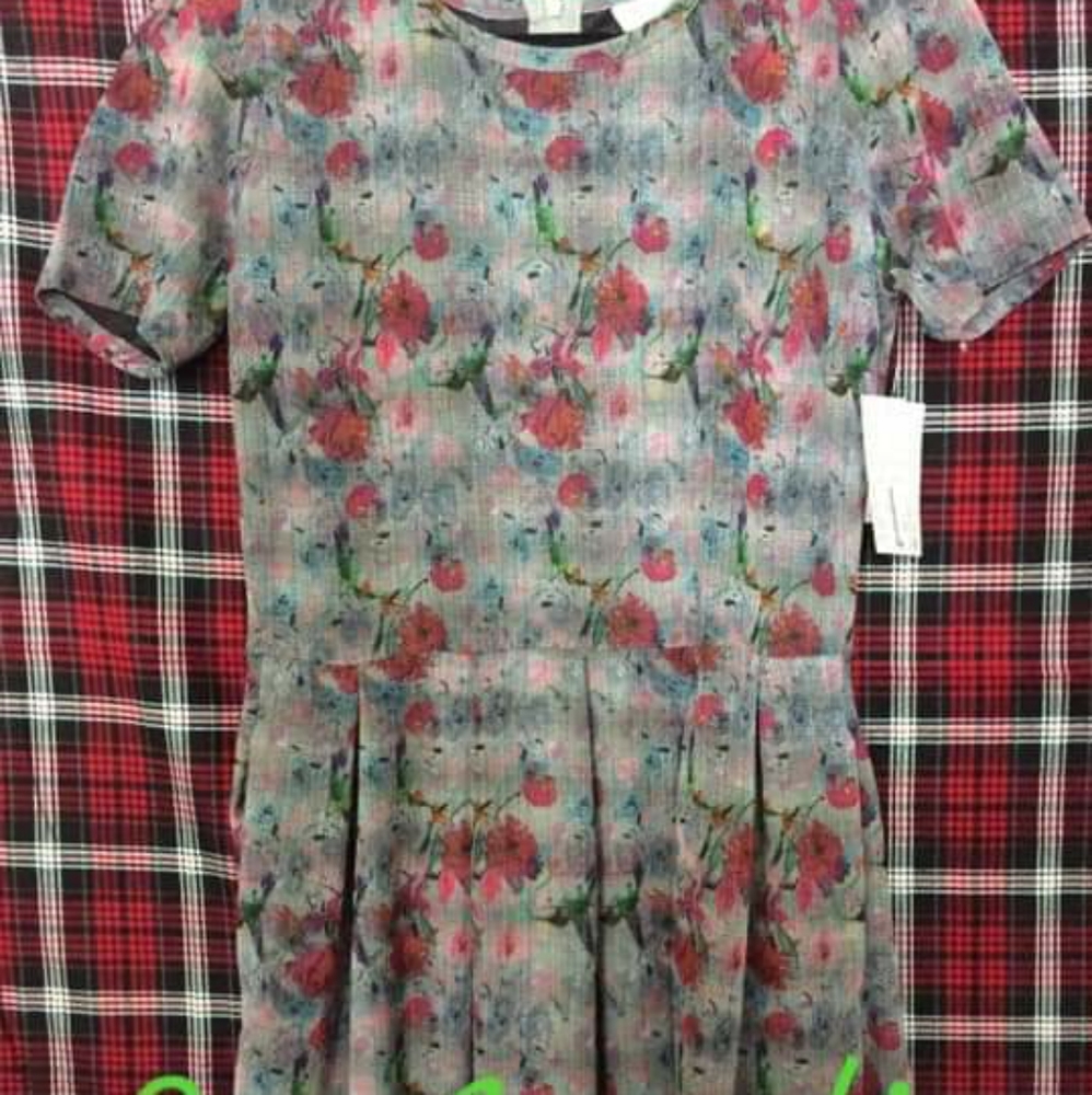 Large Lularoe Amelia